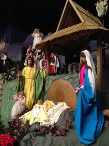 IMG_1365.jpg
